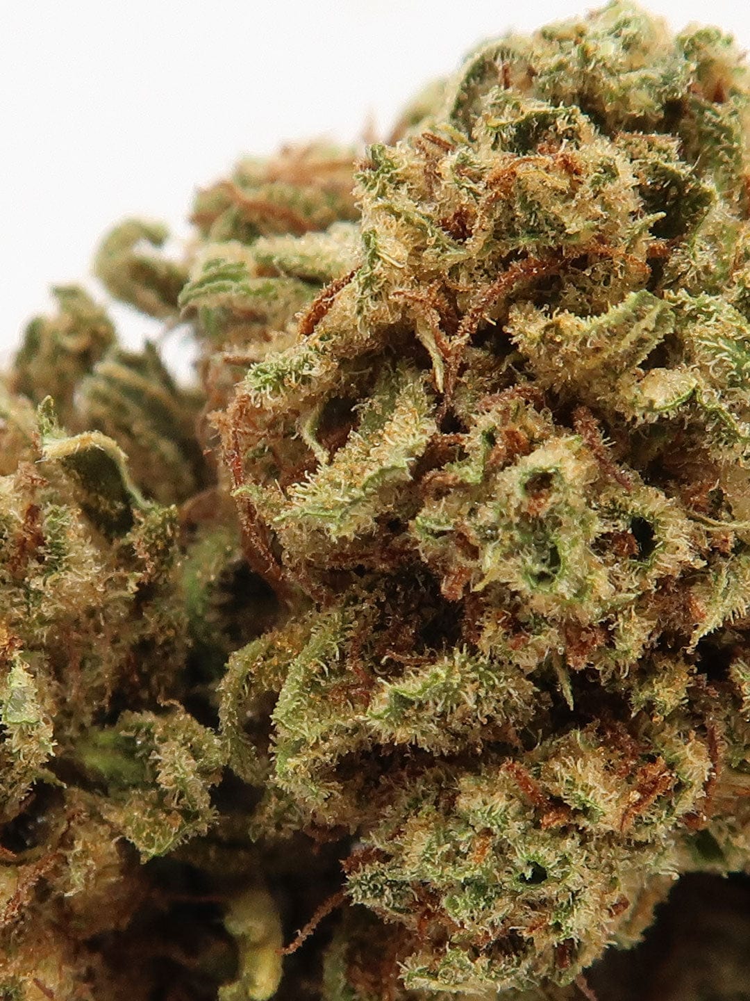 Amnesia CBD Flowers close up
