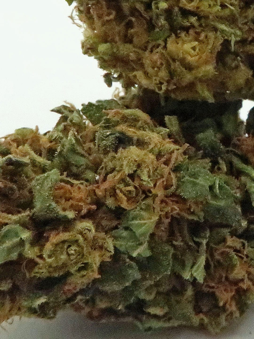 "Diesel" Hemp Flowers (8-13% CBD)