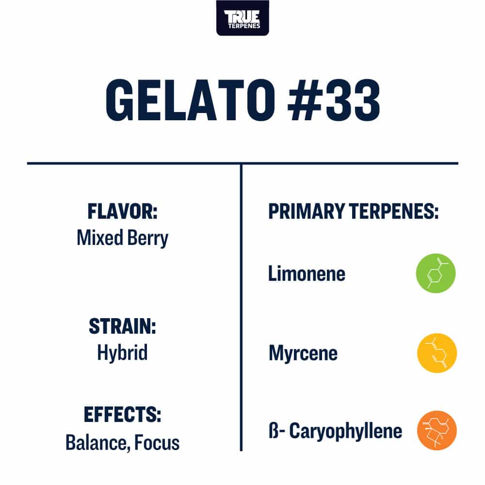 Gelato #33 | Terpenes UK | 2ml