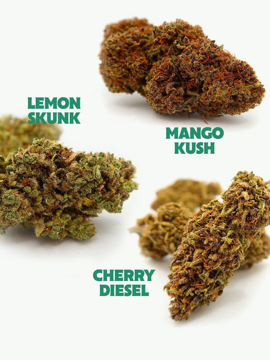 Fruit Hoots Flower Bundle