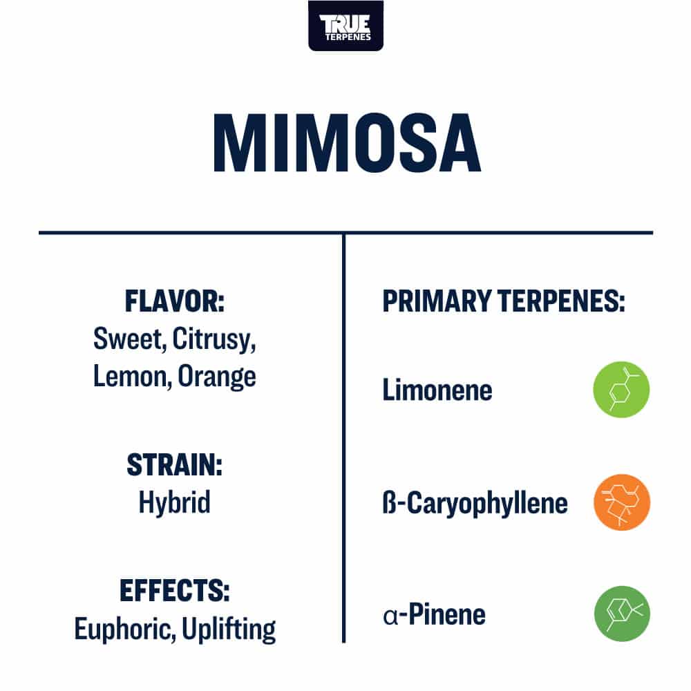 Mimosa | Terpenes UK | 2ml