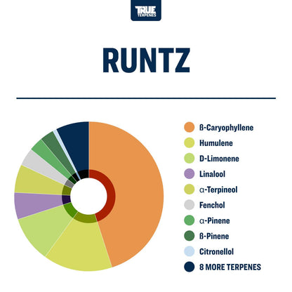 Runtz | Terpenes UK | 2ml