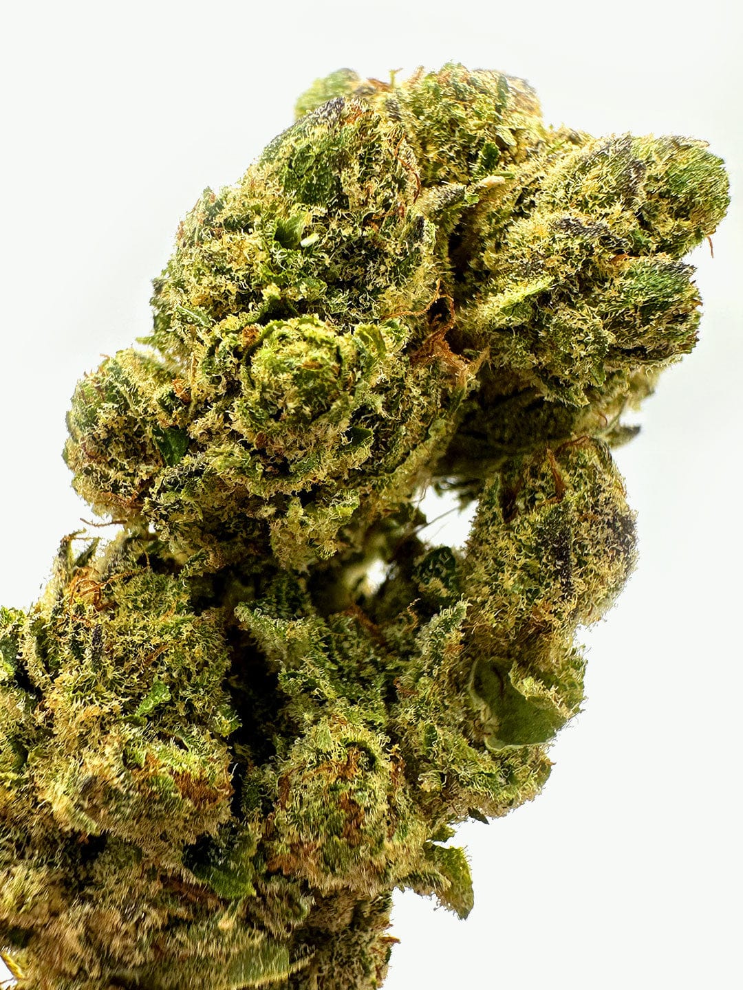 cbd flower biscotti