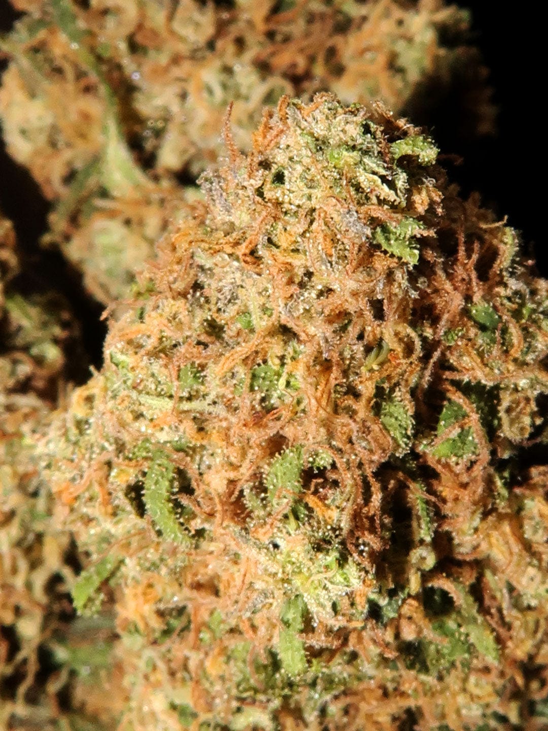 Sour Sucker Punch 14% CBD Hemp Flower | 3.5g | LIMITED STRAIN