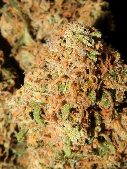 Sour Sucker Punch 14% CBD Hemp Flower | 3.5g | LIMITED STRAIN