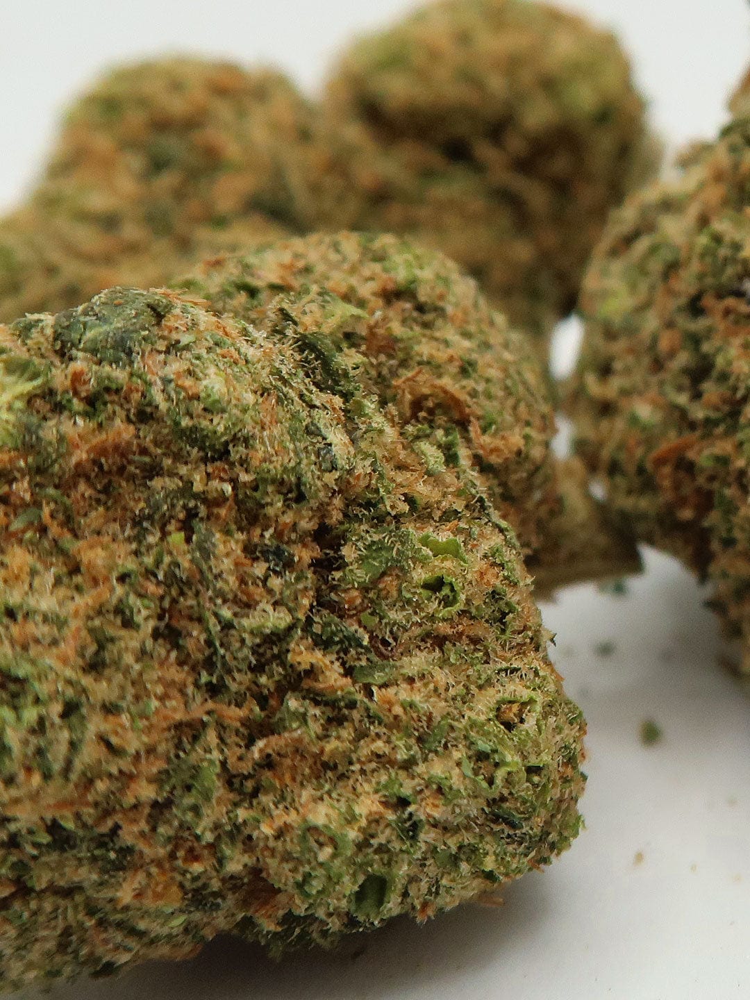 cbd flowers close up