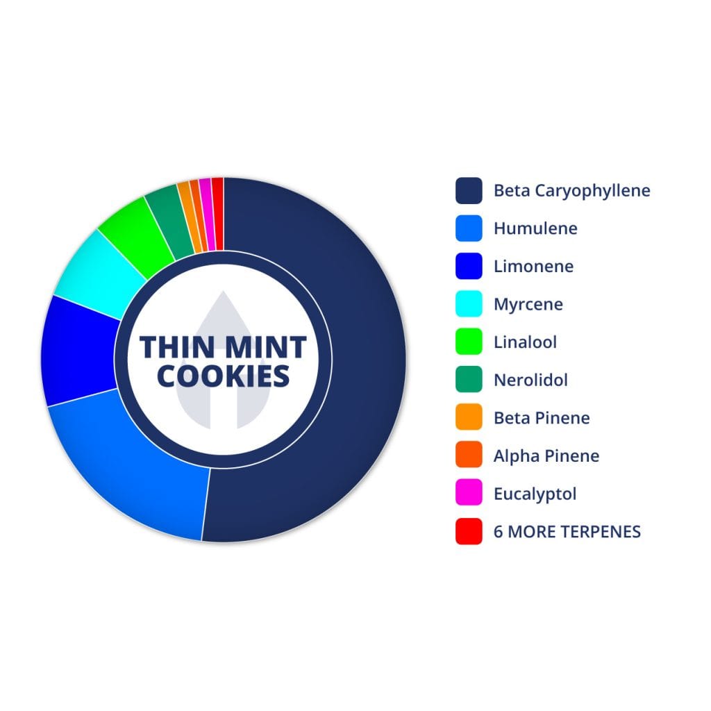 Thin Mint Cookies | Terpenes UK | 2ml